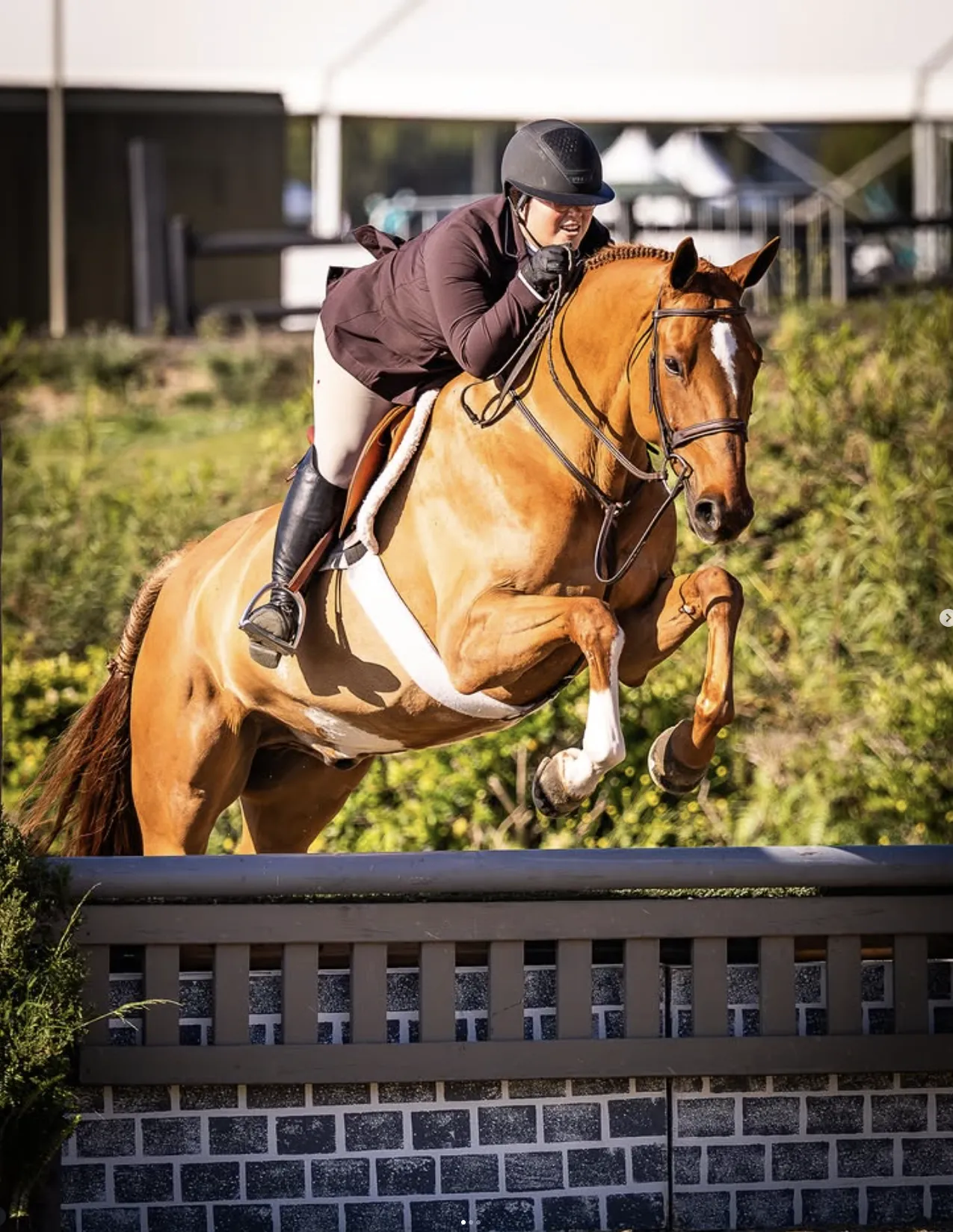 Horse and rider clearing a fence in the field