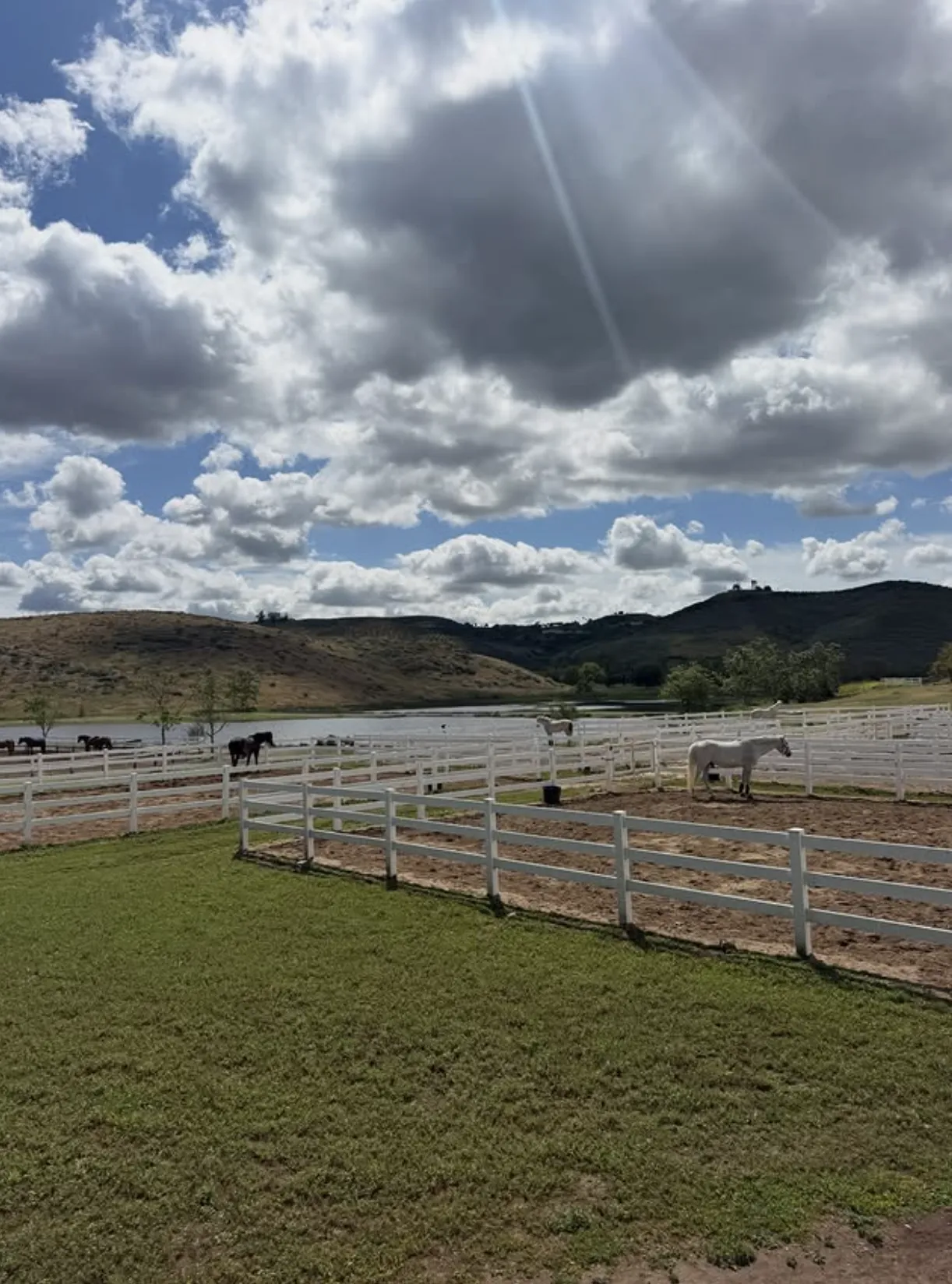 Horses turned out under big California skies