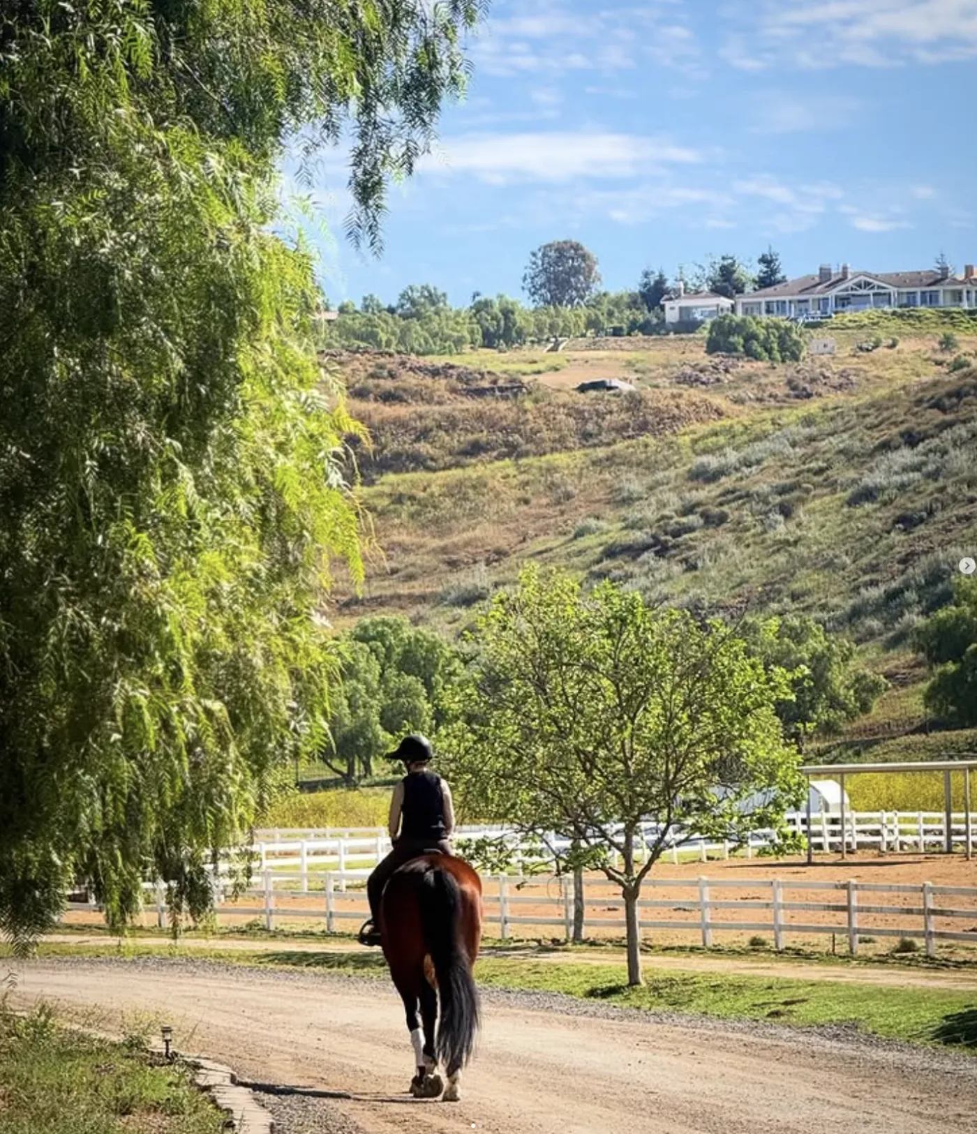 A rider heading out along the lane at Storia Show Stables